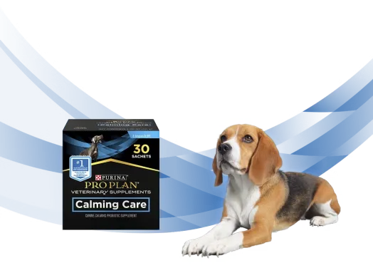 ピュリナ プロプラン ベテリナリーダイエット 犬用サプリメント
